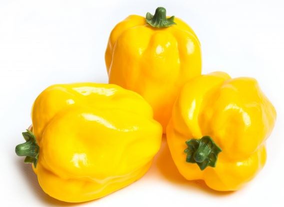 YELLOW BELL PEPPER