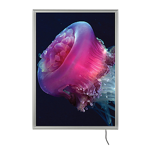 LEDBOX KERET, 626X873 MM, AZ A1 NYOMAT MÉRETE 594X841 MM