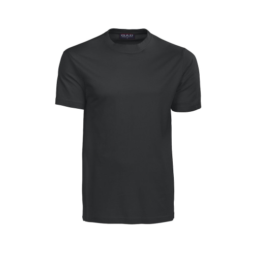 AUCKLAND MEN'S T-SHIRT, 100% COTTON